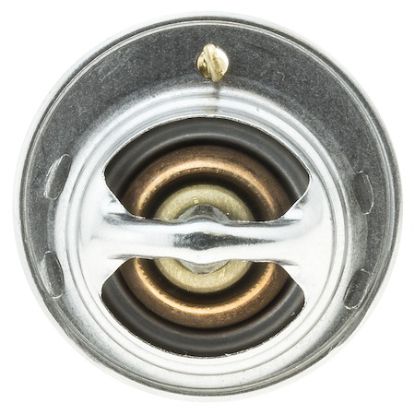 MOTOR RAD AM THERMOSTAT - 239180