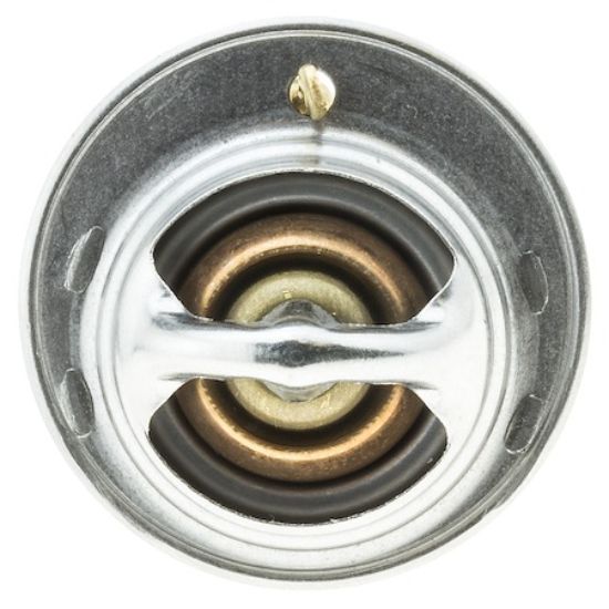 MOTOR RAD AM THERMOSTAT - 239180