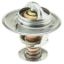 MOTOR RAD AM THERMOSTAT - 242170