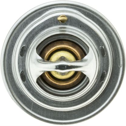 MOTOR RAD AM THERMOSTAT - 244160