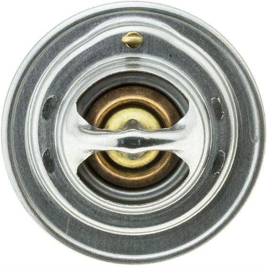 MOTOR RAD AM THERMOSTAT - 244160