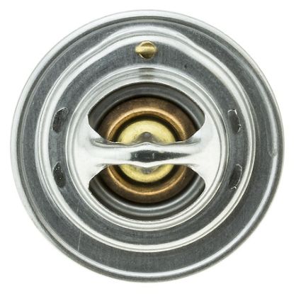 MOTOR RAD AM THERMOSTAT - 244192