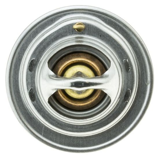 MOTOR RAD AM THERMOSTAT - 244192