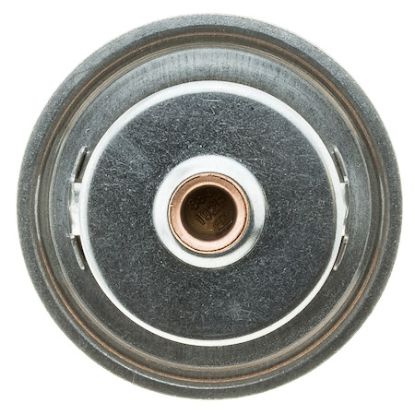 MOTOR RAD AM THERMOSTAT - 248192JV