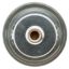 MOTOR RAD AM THERMOSTAT - 248192JV