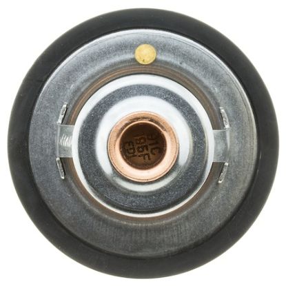 MOTOR RAD AM THERMOSTAT - 265195