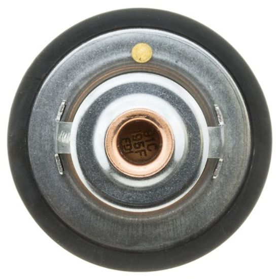 MOTOR RAD AM THERMOSTAT - 265195