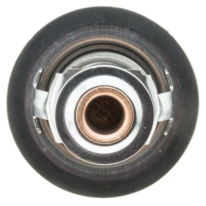 MOTOR RAD AM THERMOSTAT - 267195