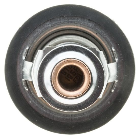 MOTOR RAD AM THERMOSTAT - 267195