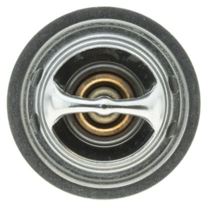 MOTOR RAD AM THERMOSTAT - 268180