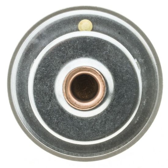 MOTOR RAD AM THERMOSTAT - 270180