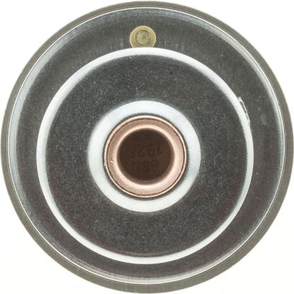 MOTOR RAD AM THERMOSTAT - 270192