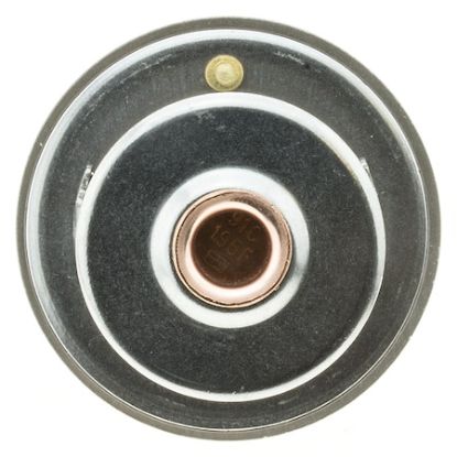MOTOR RAD AM THERMOSTAT - 270195