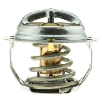 MOTOR RAD AM THERMOSTAT - 294170