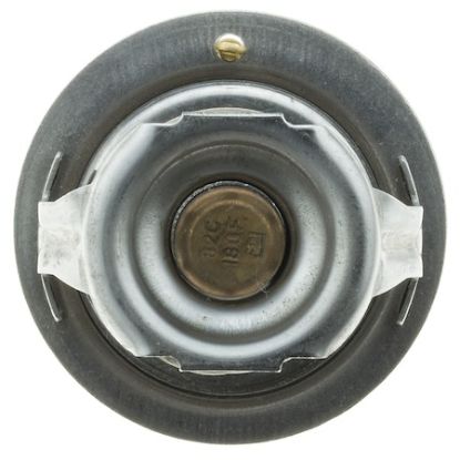 MOTOR RAD AM THERMOSTAT - 294180