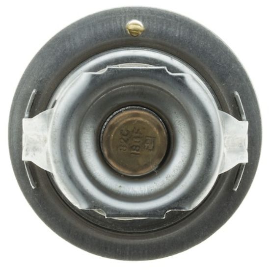 MOTOR RAD AM THERMOSTAT - 294180