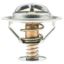 MOTOR RAD AM THERMOSTAT - 297180