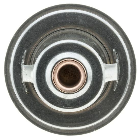 MOTOR RAD AM THERMOSTAT - 298180