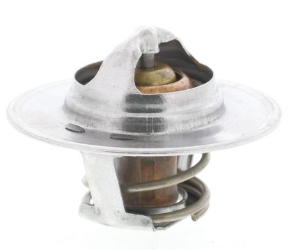 MOTOR RAD AM THERMOSTAT - 300160
