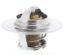 MOTOR RAD AM THERMOSTAT - 300160