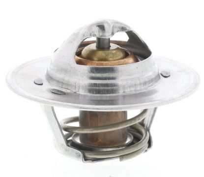 MOTOR RAD AM THERMOSTAT - 300195