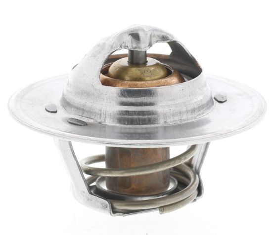 MOTOR RAD AM THERMOSTAT - 300195