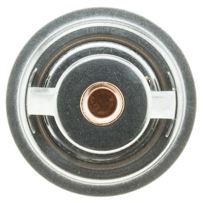 MOTOR RAD AM THERMOSTAT - 302170