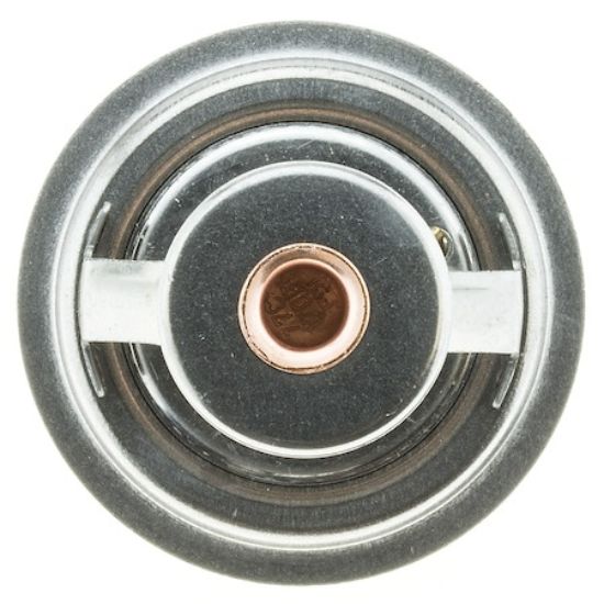MOTOR RAD AM THERMOSTAT - 302170