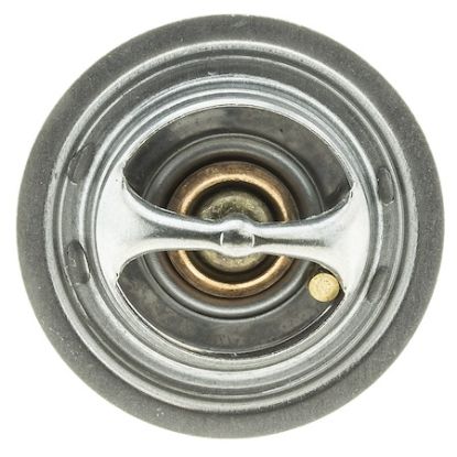 MOTOR RAD AM THERMOSTAT - 302180