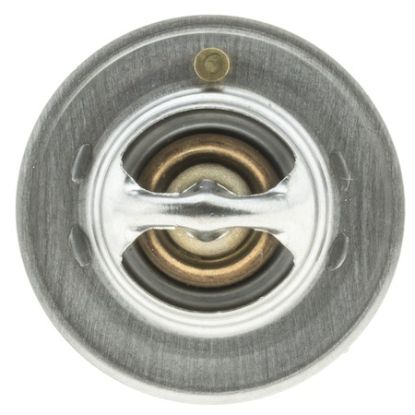 MOTOR RAD AM THERMOSTAT - 319180