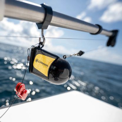 CANNON 10 LB. TROLLING WEIGHT - 2295184