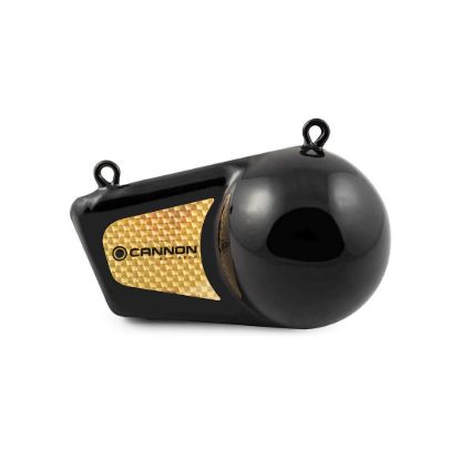 CANNON 12 LB. TROLLING WEIGHT - 2295190