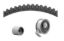 DAYCO TIMING BELT KIT DAYCO - 95317K1