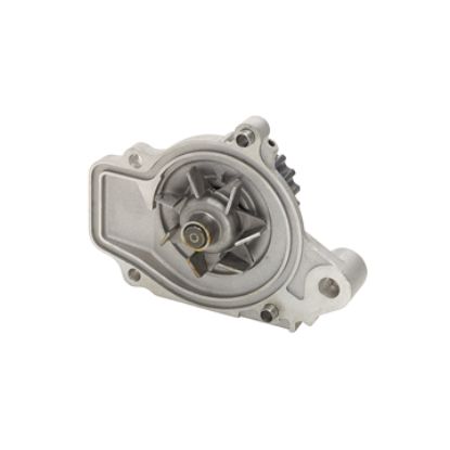 DAYCO WATER PUMP KIT - DP019
