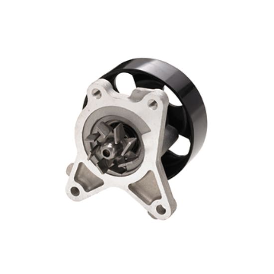 DAYCO WATER PUMP KIT - DP459