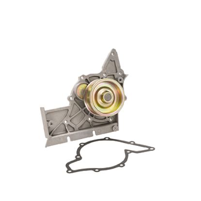 DAYCO WATER PUMP KIT - DP474