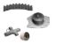 DAYCO WATER PUMP KIT DAYCO - WP295K1A
