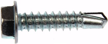 DORMAN S/TAP SCR SS #6X1/2  3/4 - 784105
