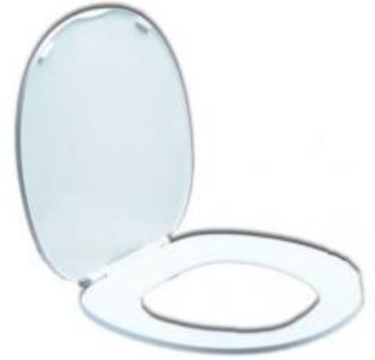 DAVE CARTER TH42036 SEAT AND COVER WHITE AM - 50258