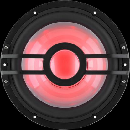 CLARION 10-INCH  2-OHM MARINE SUBWOOFER - 0100305100