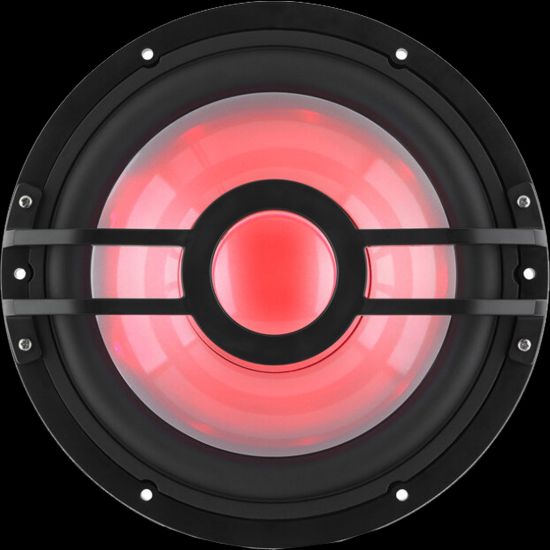CLARION 10-INCH  2-OHM MARINE SUBWOOFER - 0100305100