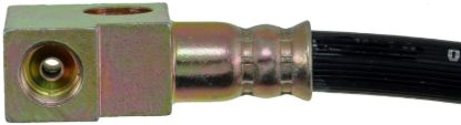 DORMAN HOSE - H620179
