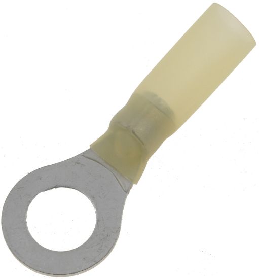 DORMAN TERM RING WP 1210 5/16 - 85205