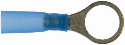 DORMAN TERM RING WP 1614 3/8 - 85218
