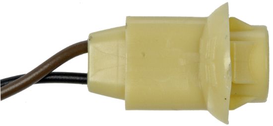 DORMAN SOCKET GM/FORD LICENSE/S - 85814