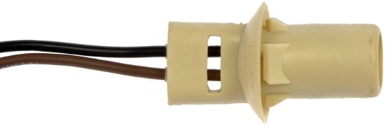 DORMAN SOCKET LIC PRKNG TL SDMR - 85861