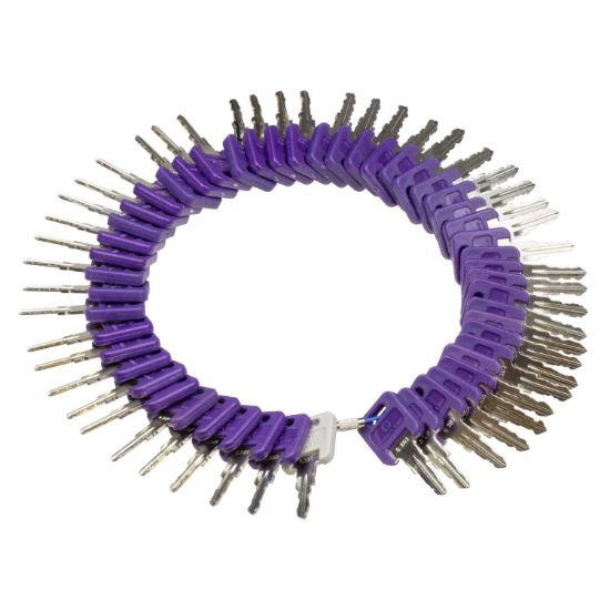 CREATIVE PRO GLOBAL KEY RING  G351-391 - KEYGLRING