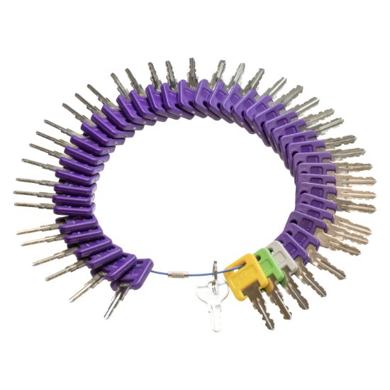 CREATIVE PRO GLOBAL KEY RING  G301-351 - KEYGLRING2