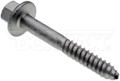 DORMAN MANIFOLD SCREWS - 32128