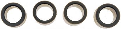 DORMAN STRIKER BOLT BUSHING KIT - 38424